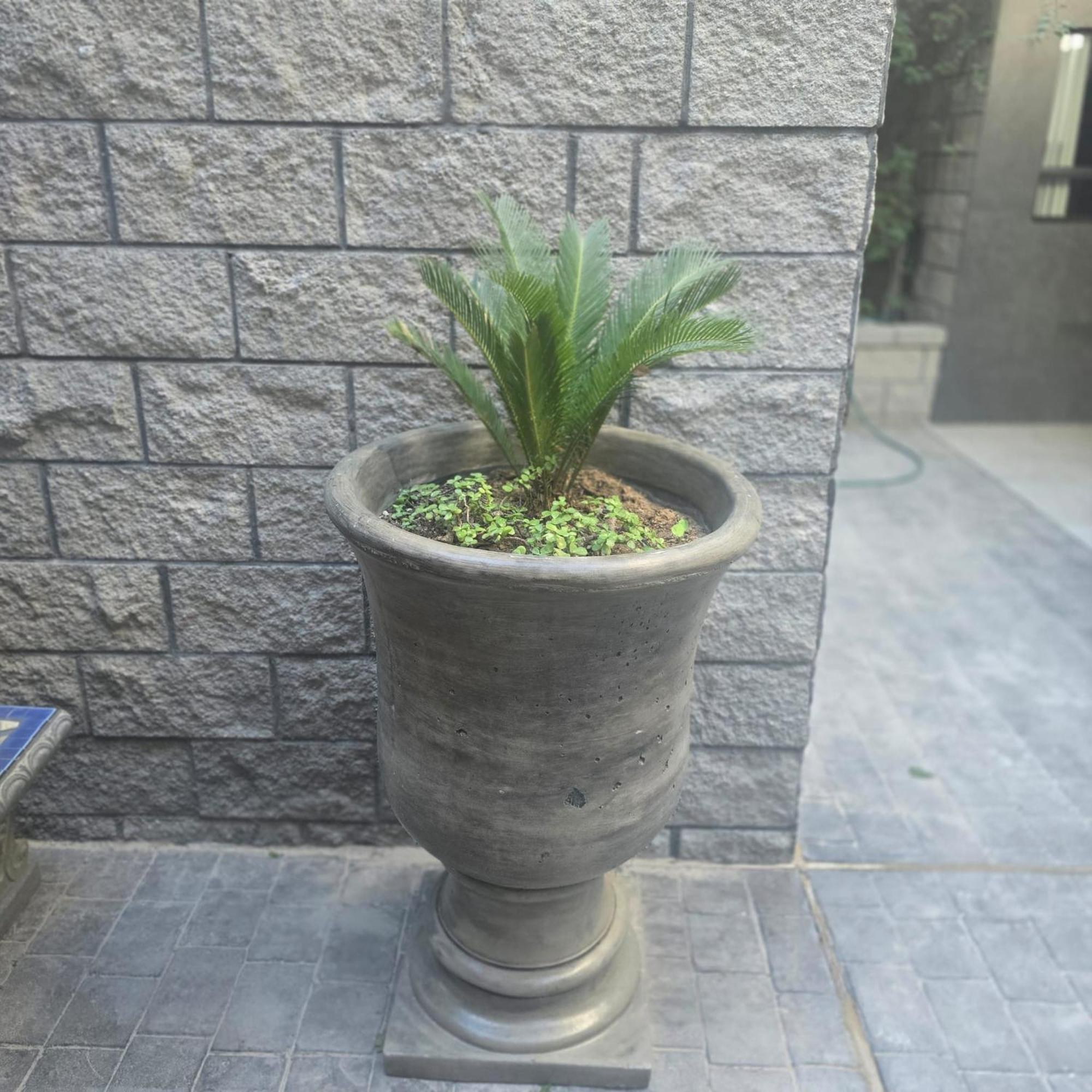 Playas Hotel Suites 푸에르토페나스코 외부 사진